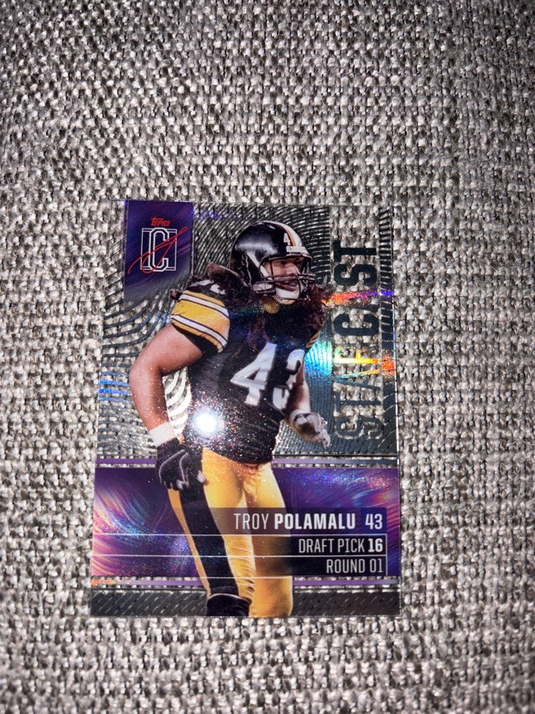 Troy Polamalu