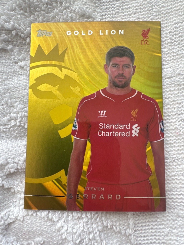 Steven Gerrard