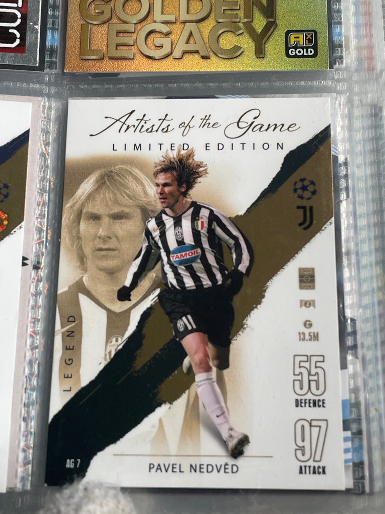 Pavel Nedvěd