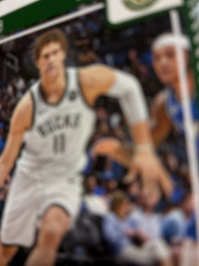 Brook Lopez