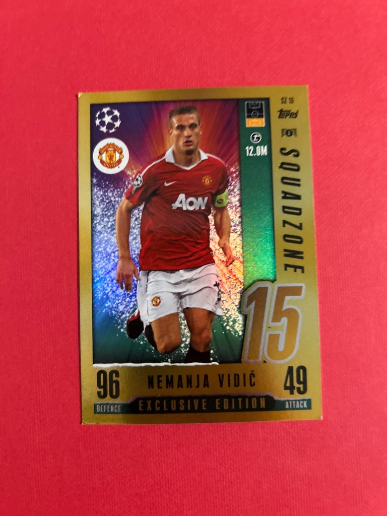 Nemanja Vidic
