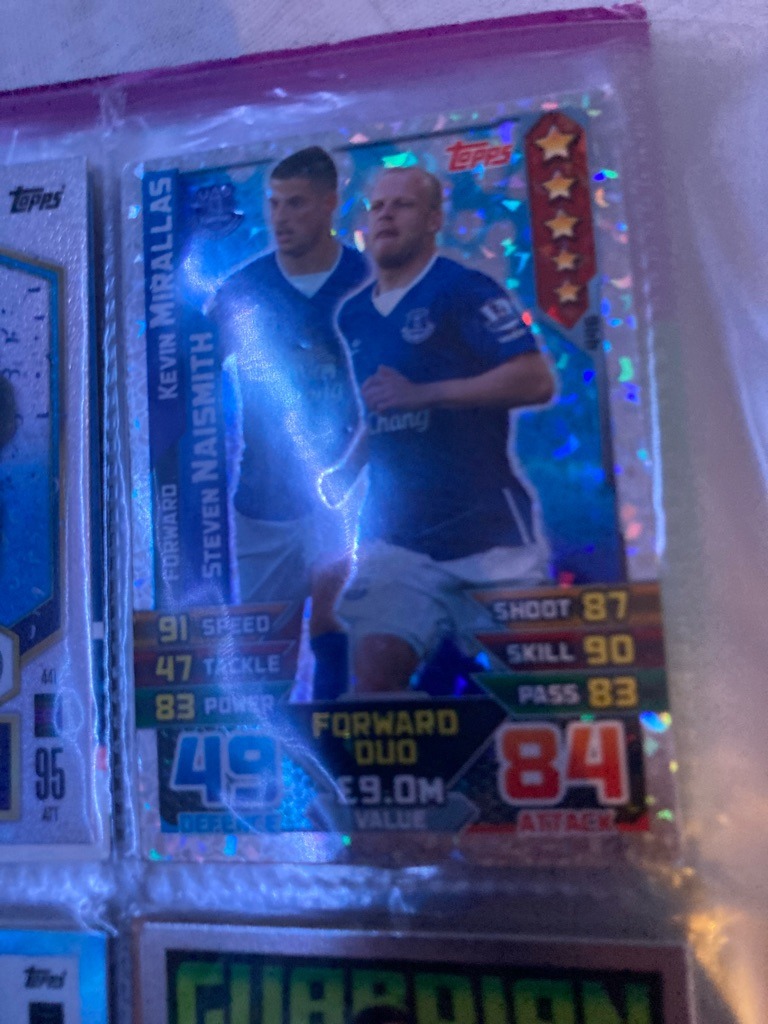 Kevin Mirallas and Steven Naismith