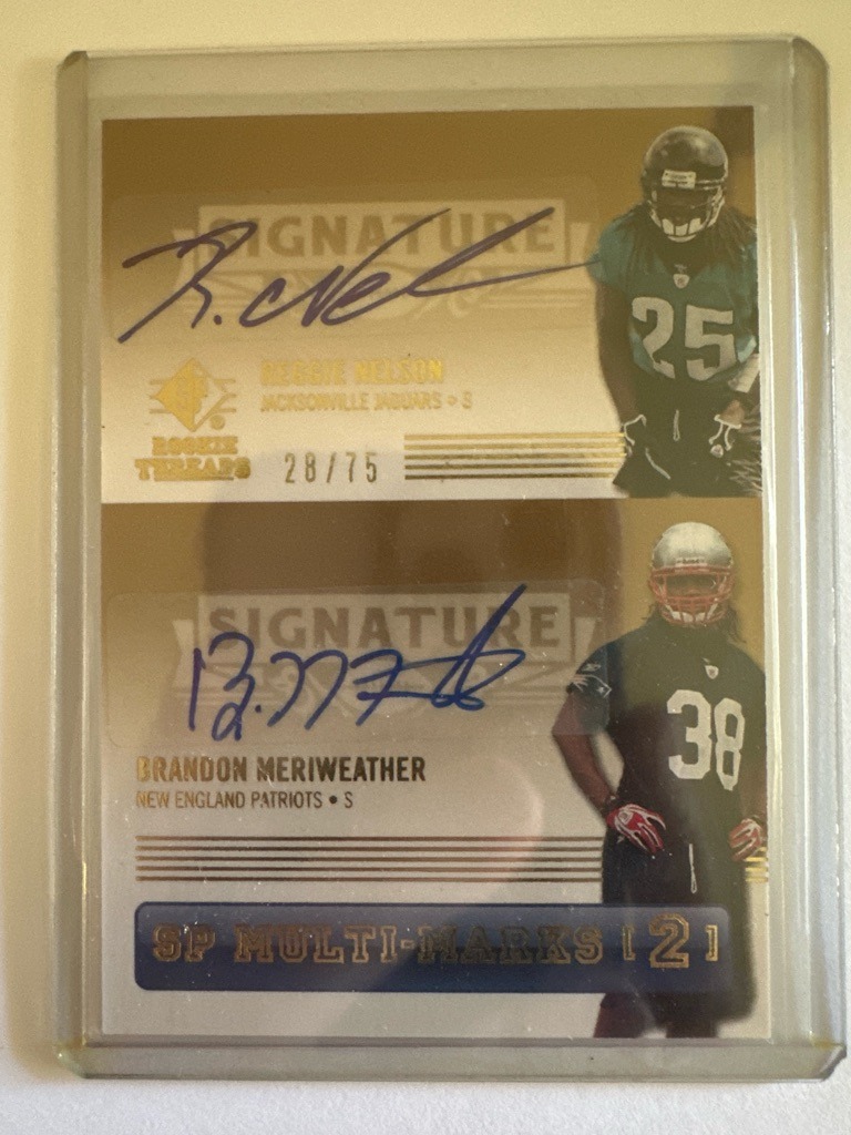 Reggie Nelson and Brandon Meriweather