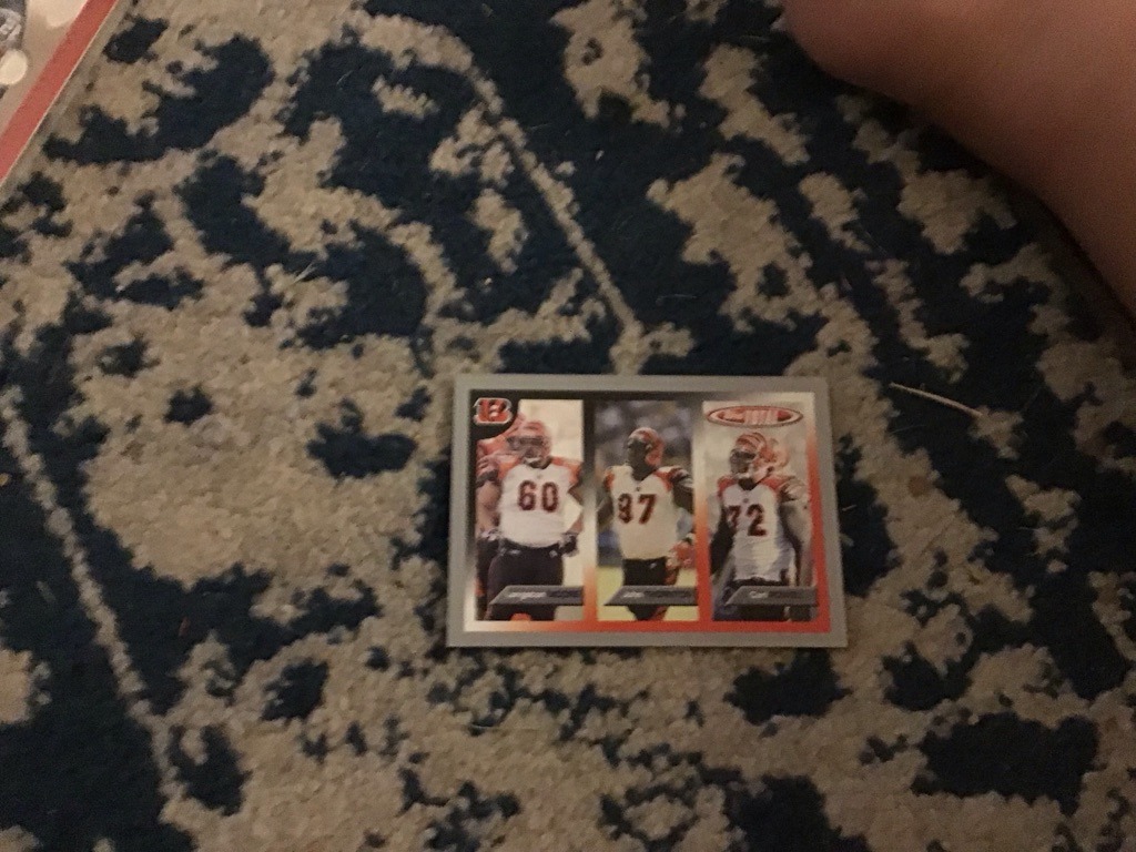 T.J. Houshmandzadeh, Chad Johnson, Carl Pickens (Cincinnati Bengals Trio)