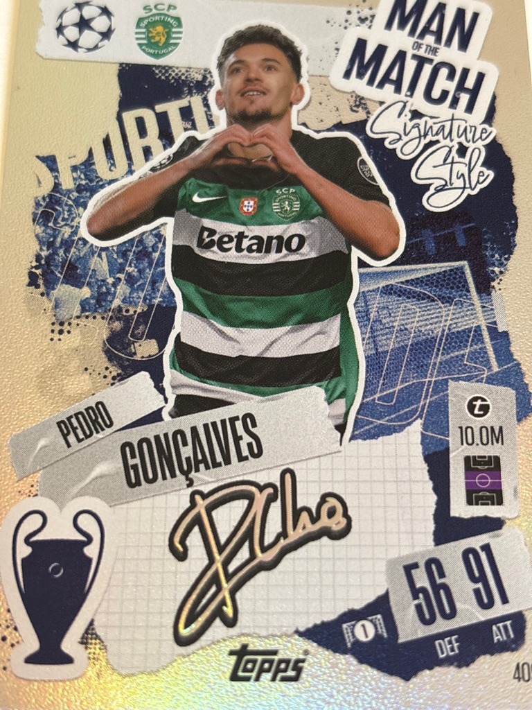 Pedro Gonçalves